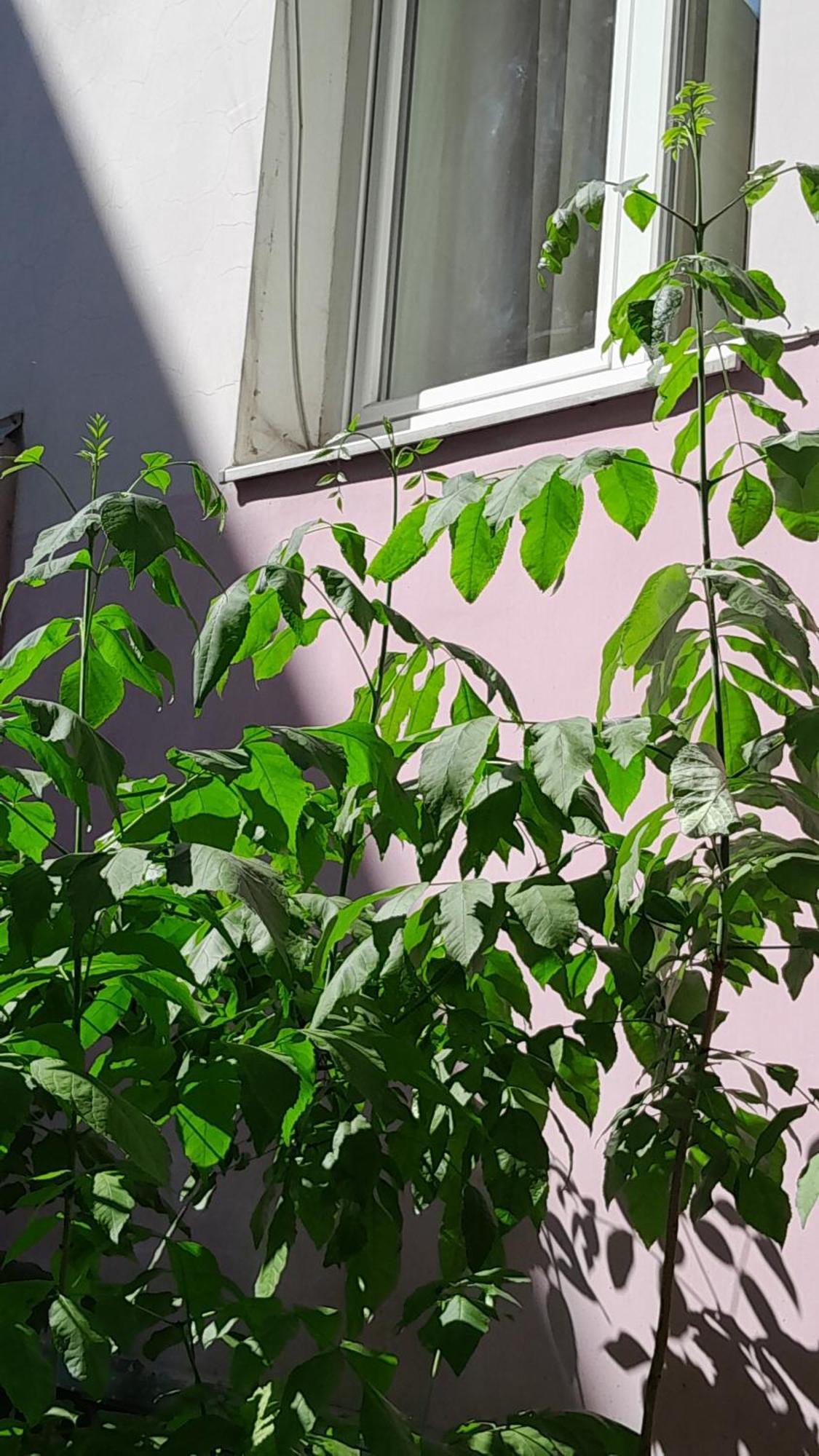 1Ком Апартаменты,Парковка,Улхорватская Lviv Extérieur photo